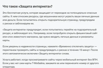 Официальное описание услуги «Защита интернета» в справке оператора